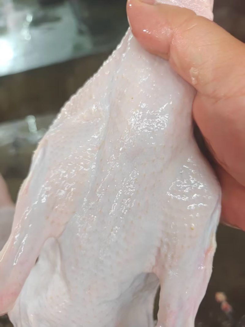 西装鸭大白条规格齐全可出口有出口资质厂家直销全国冷链物流发货