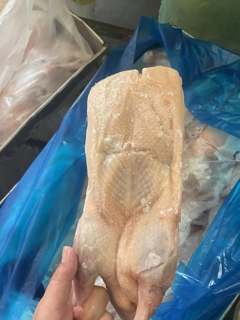 西装鸭大白条规格齐全可出口有出口资质厂家直销全国冷链物流发货
