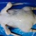 西装鸭大白条规格齐全可出口有出口资质厂家直销全国冷链物流发货