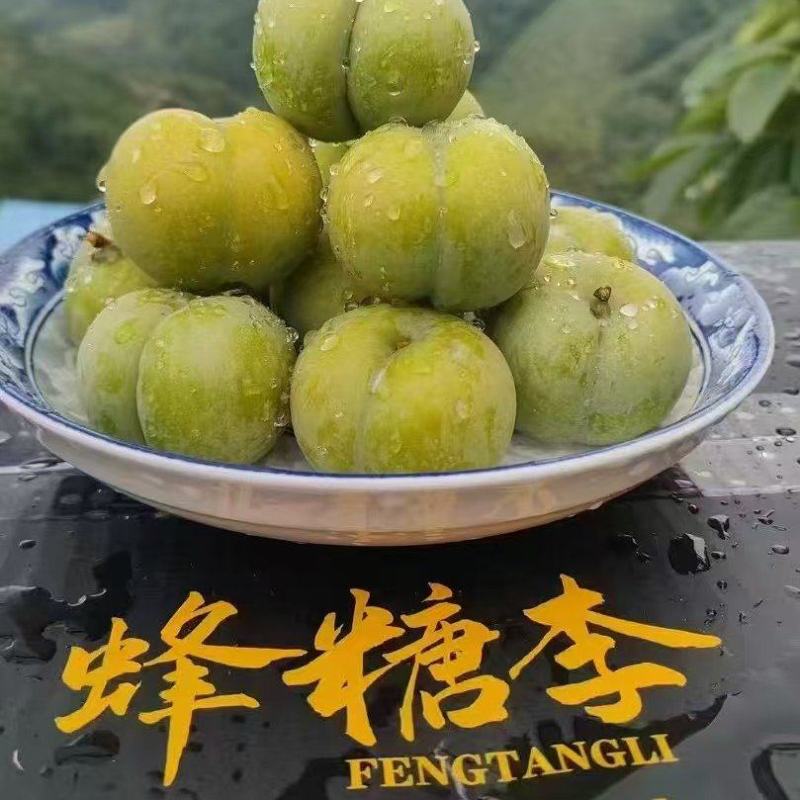 贵州蜂糖李，产地直发，价格美丽，欢迎老板前来看