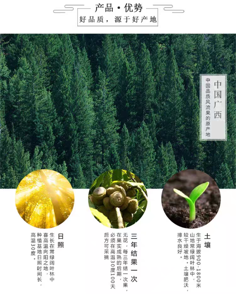 风流果中药材风流果正宗500克；大部分省包邮免运费