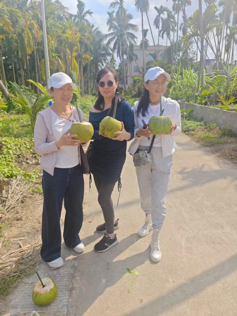 海南椰子【毛椰】支持视频看货，可发往全国市场！