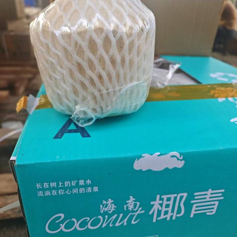 【海南椰子】椰白椰青，规格齐全诚信经营，客户至上！
