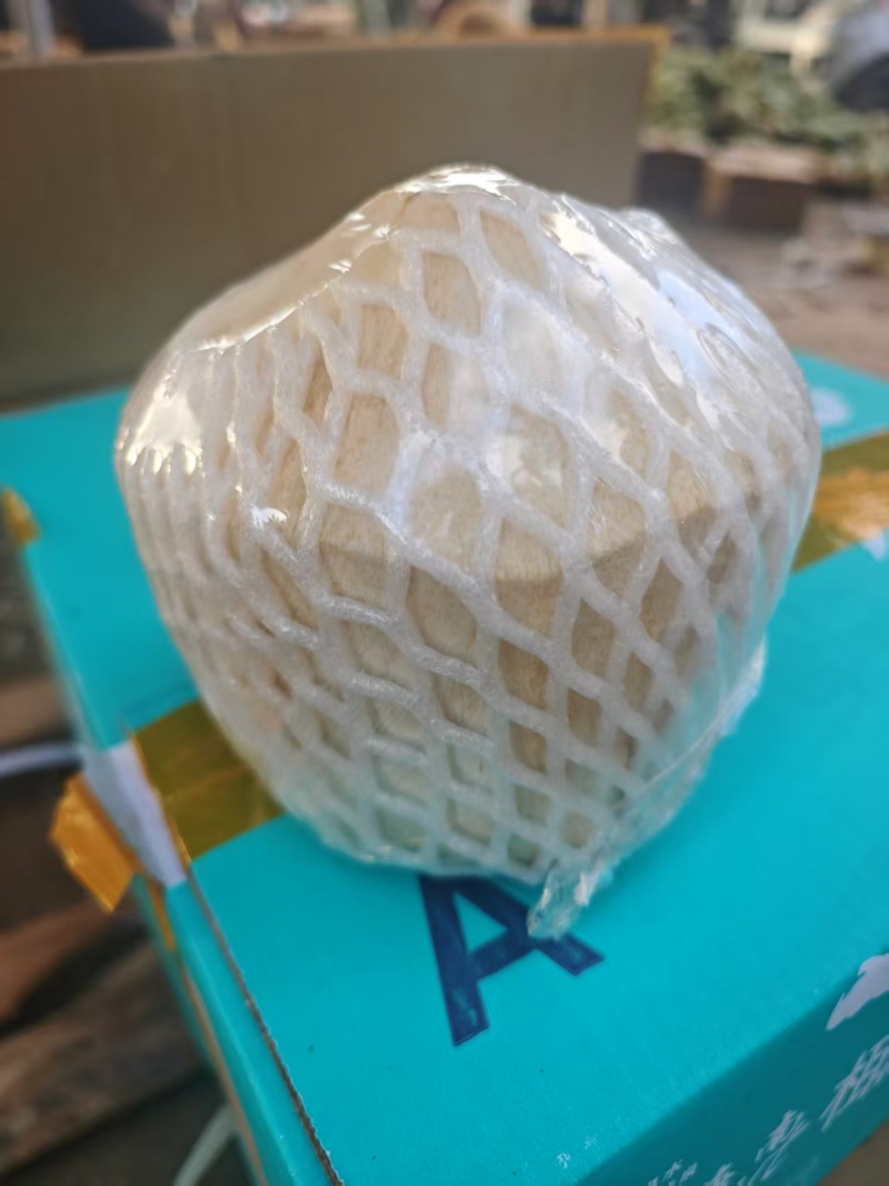 【海南椰子】椰白椰青，规格齐全诚信经营，客户至上！