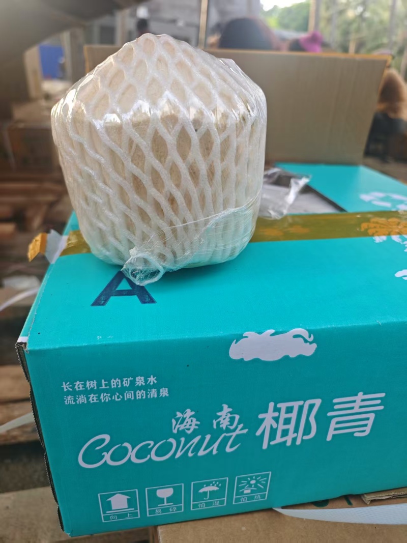 【海南椰子】椰白椰青，规格齐全诚信经营，客户至上！
