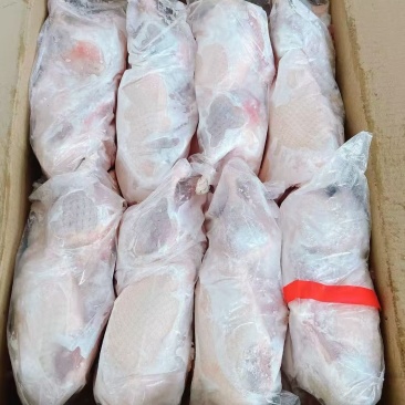 西装鸭工厂直发新货