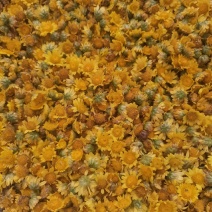 野菊花