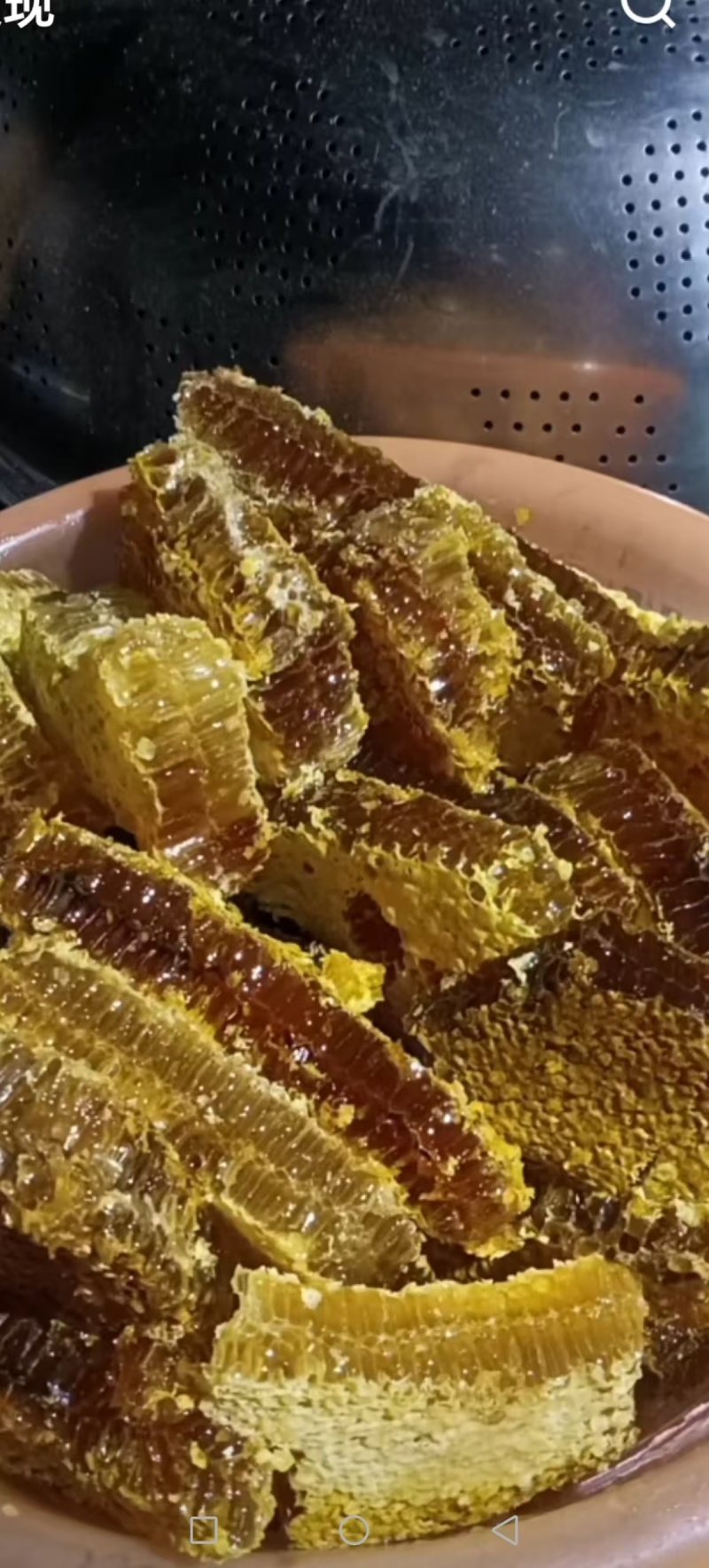 贵州深山野生土蜂蜜