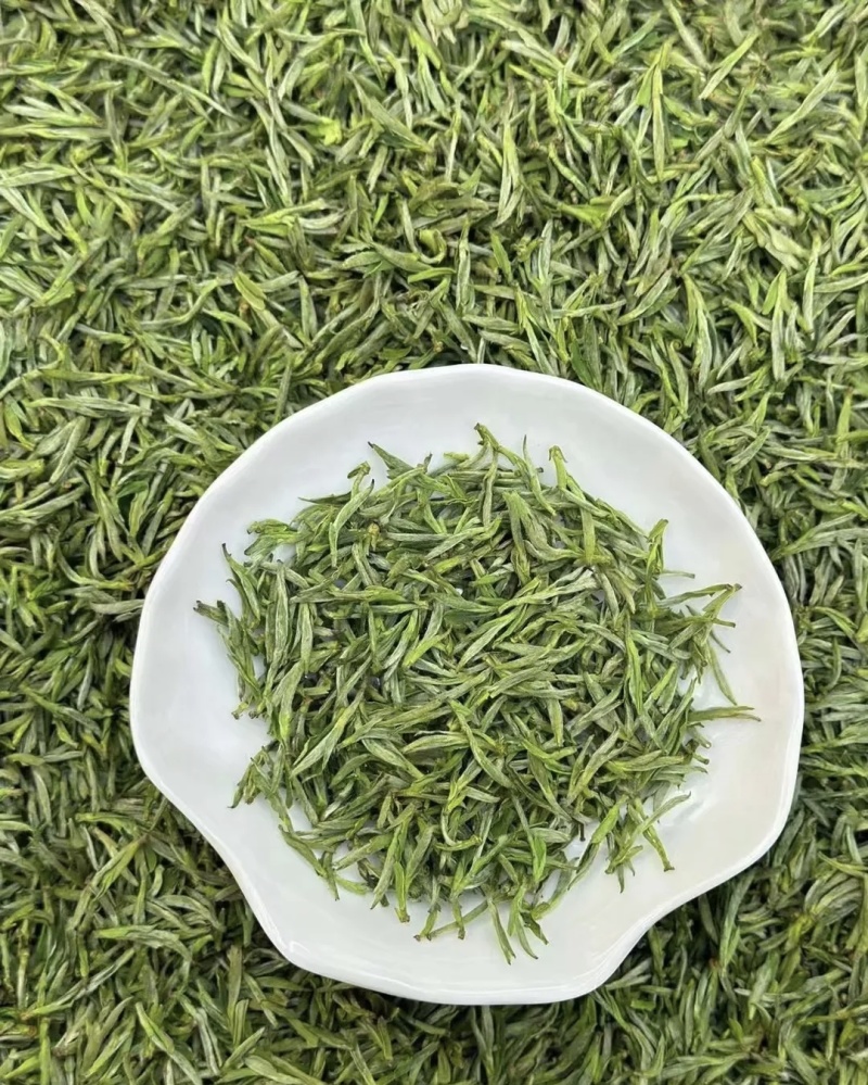 黄山毛峰名茶口感好基地直供品质优可视频看货欢迎咨询来