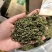 绿茶烘青基地直供品质优可视频看货欢迎咨询来电