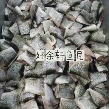 鲢鱼尾