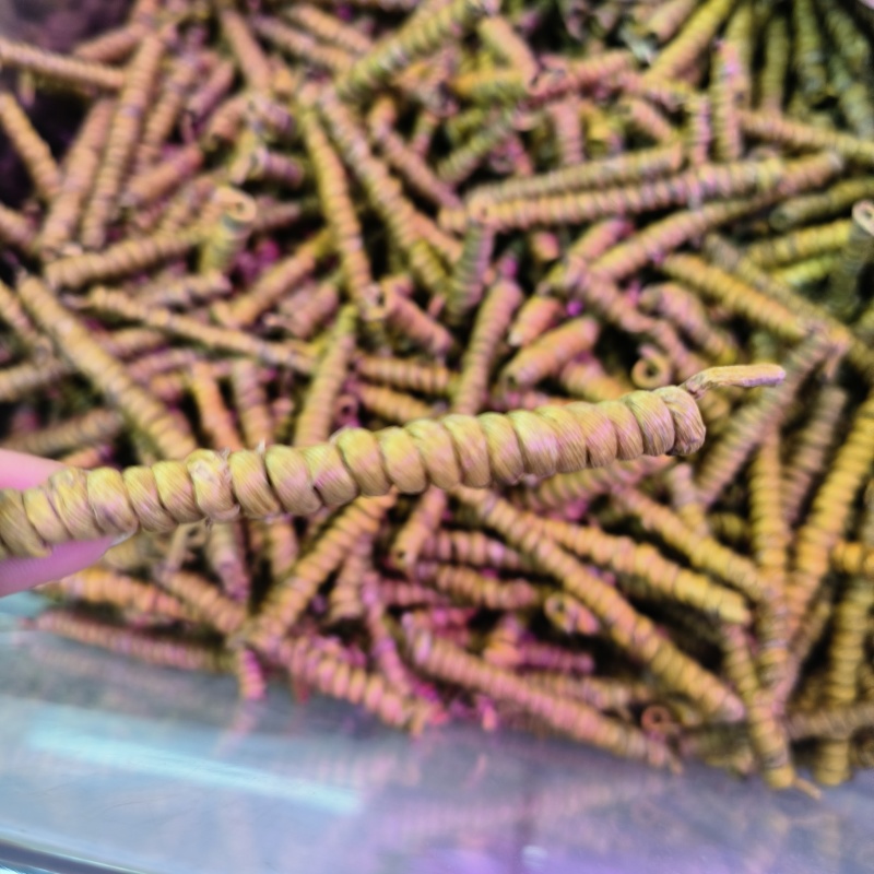 铁皮石斛各类都有大货选货胶质饱满量大从优