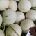 玉姑甜瓜精品头茬大量上市口感好甜度高果面干净欢迎来电