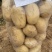 湖北黄心土豆对接全国价格美丽质量好软糯香甜价格美丽热卖中