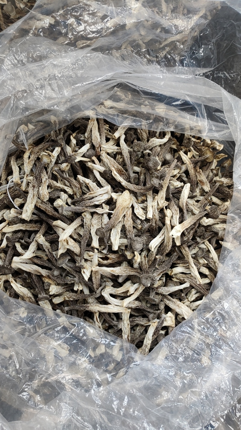 精品鹿茸菇，菇帽完整，菇杆壮实，大小均匀，无碎渣，无碎渣