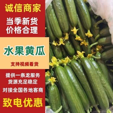 水果黄瓜对接全国产地直发量大从优欢迎选购