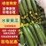 水果黄瓜对接全国产地直发量大从优欢迎选购