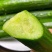 小黄瓜