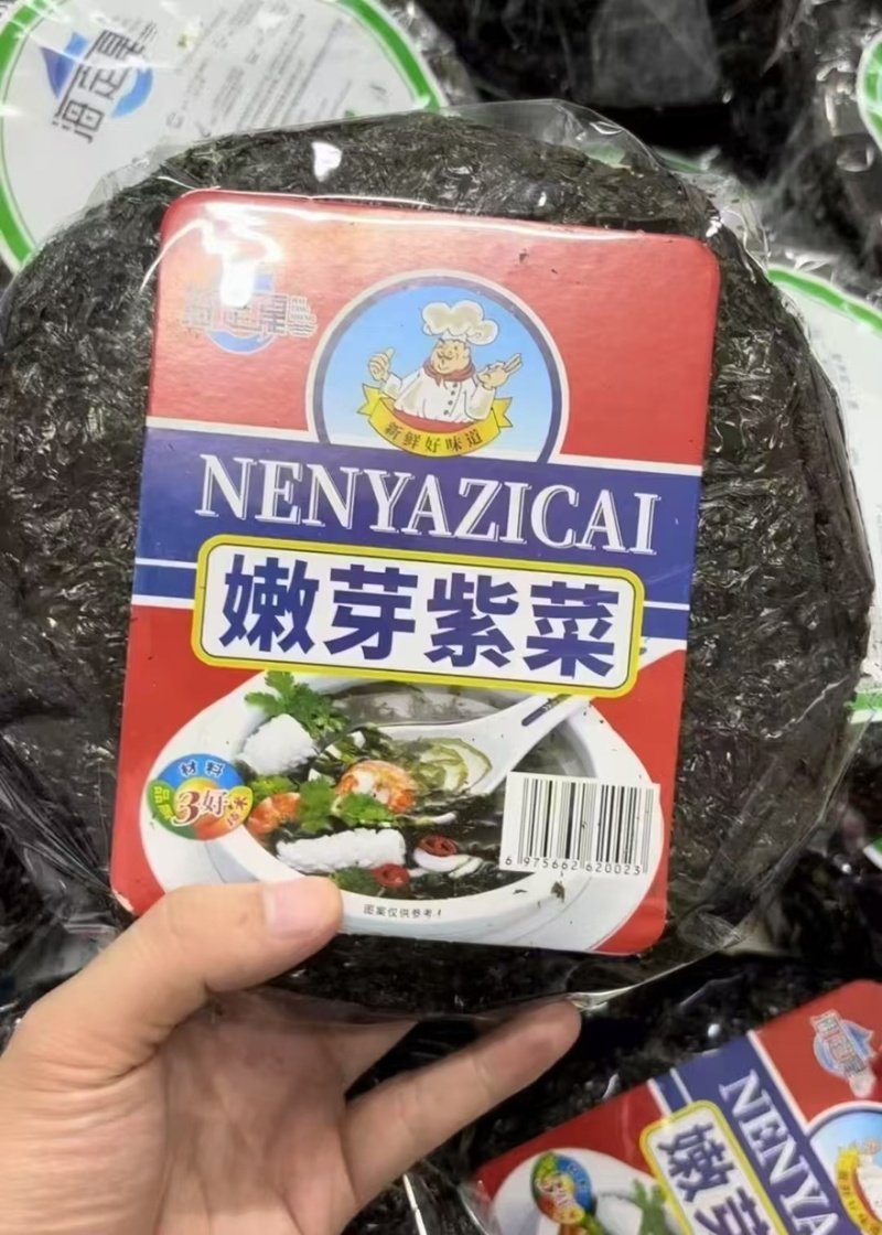 紫菜