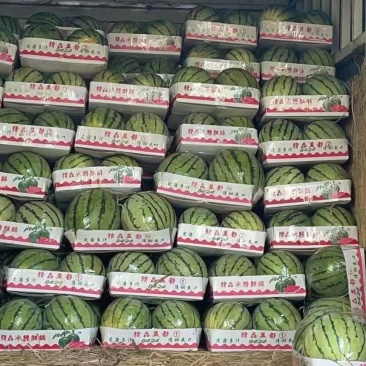 湖北美都西瓜大量上市，产地直销，专业验瓜，全国发货