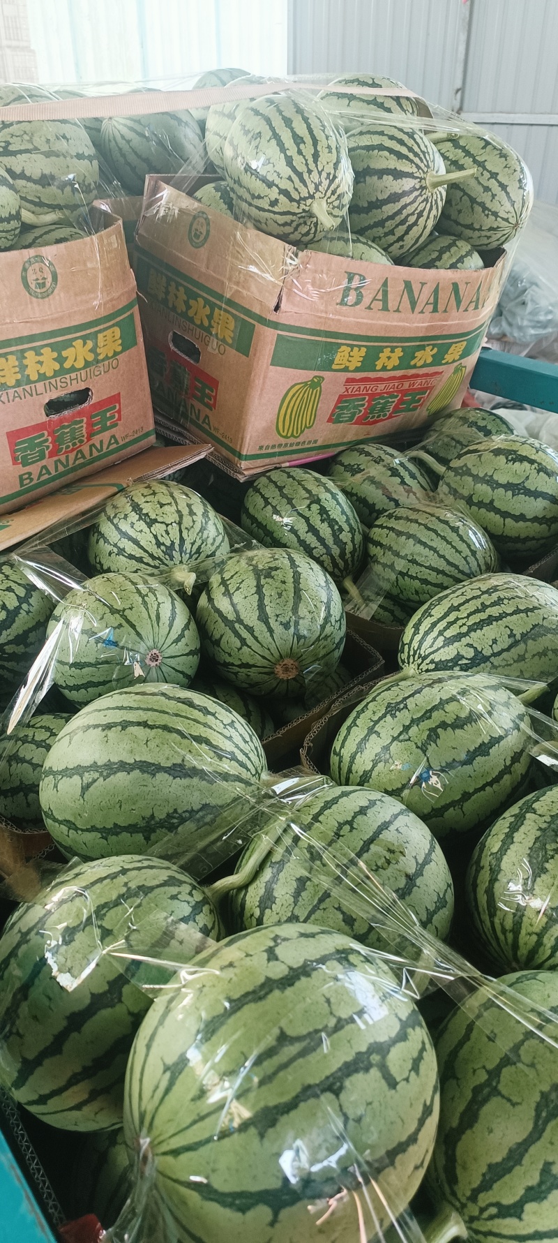 西甜瓜