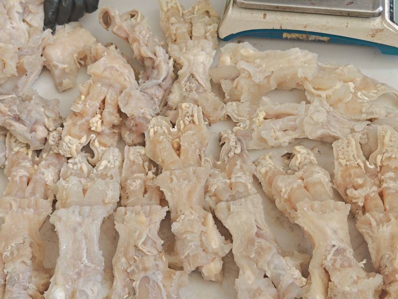 国产纯干精修全熟牛蹄主筋，均为鲜公牛蹄原料，纯水煮***
