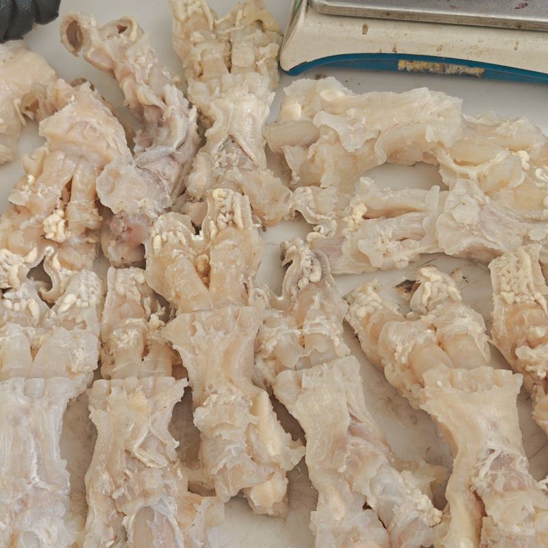 国产纯干精修全熟牛蹄主筋，均为鲜公牛蹄原料，纯水煮***