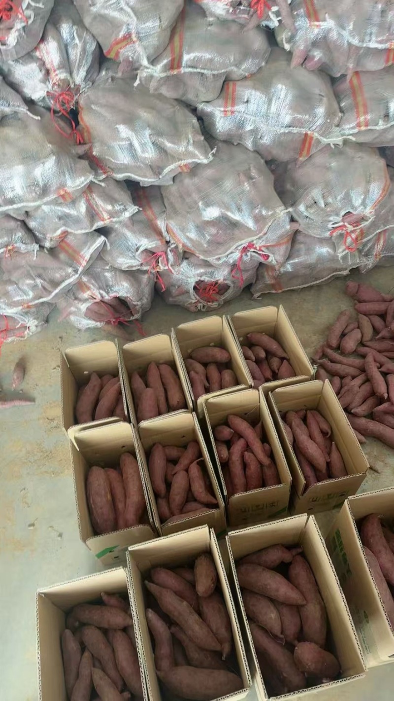 精品紫罗兰紫薯一手货源一件代发全国发货量大价优欢迎联系