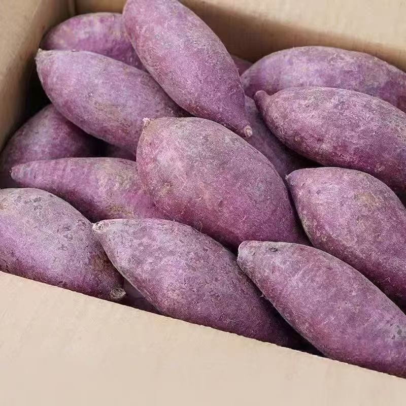 精品紫罗兰紫薯一手货源一件代发全国发货量大价优欢迎联系
