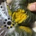 （贝贝南瓜）板栗味南瓜/产地直发/电商，市场供应