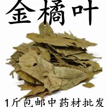 （包邮）新货金橘叶中药材桔叶桔叶橘叶桔子叶金桔叶500克