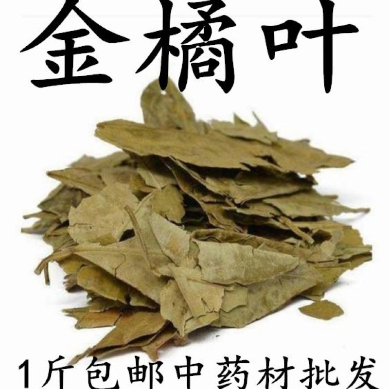（包邮）新货金橘叶中药材桔叶桔叶橘叶桔子叶金桔叶500克