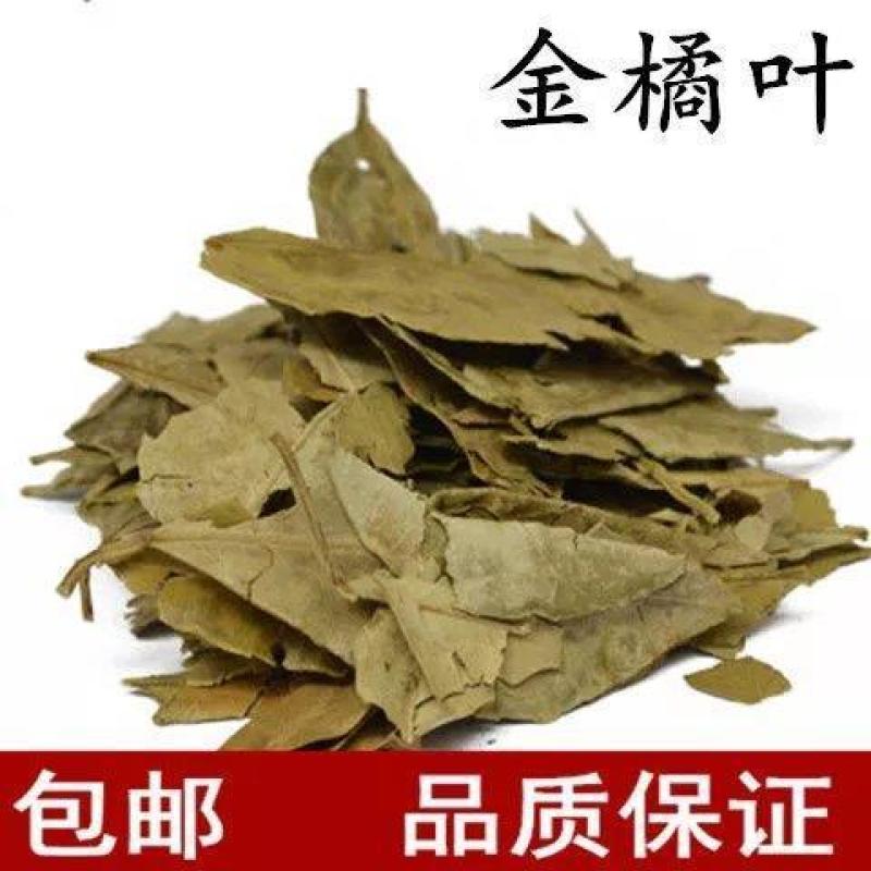 （包邮）新货金橘叶中药材桔叶桔叶橘叶桔子叶金桔叶500克
