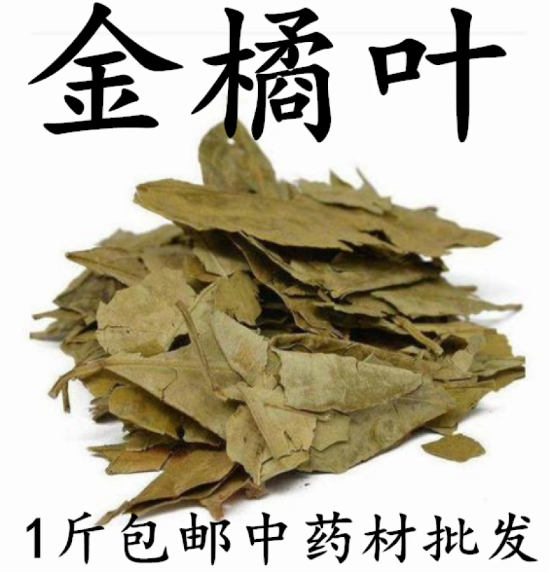 （包邮）新货金橘叶中药材桔叶桔叶橘叶桔子叶金桔叶500克