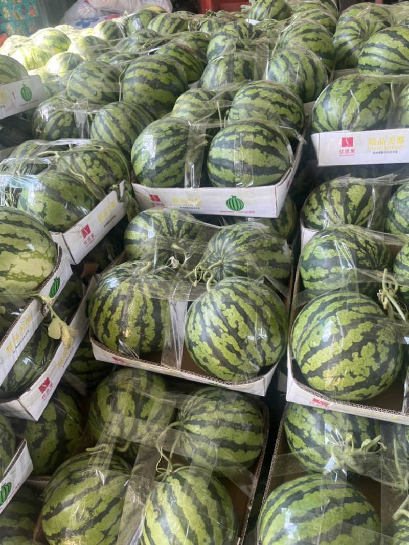 美都西瓜品质保证服务周到产地直发价格美丽欢迎联系
