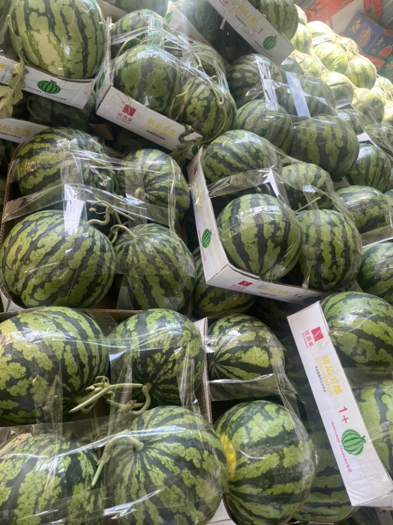 美都西瓜品质保证服务周到产地直发价格美丽欢迎联系