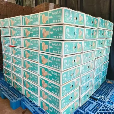 海南削皮椰青9个装，有需要的老板来聊