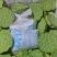 海南新鲜水果嫩莲蓬当季嫩莲蓬基地直供时令