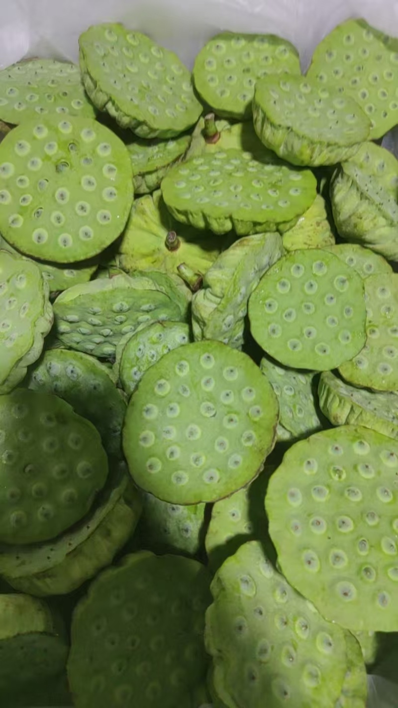 海南新鲜水果嫩莲蓬当季嫩莲蓬基地直供时令