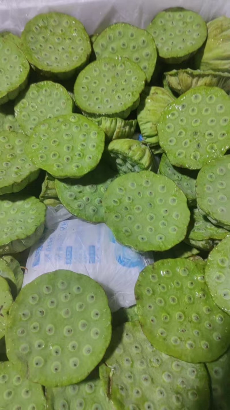 海南新鲜水果嫩莲蓬当季嫩莲蓬基地直供时令