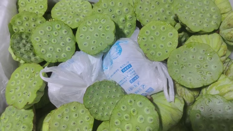 海南新鲜水果嫩莲蓬当季嫩莲蓬基地直供时令