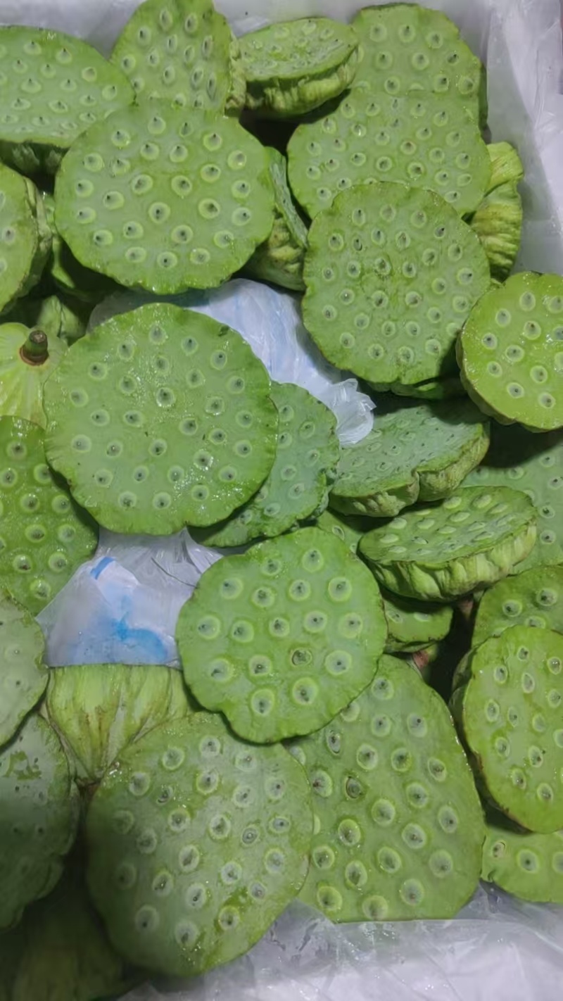 海南新鲜水果嫩莲蓬当季嫩莲蓬基地直供时令
