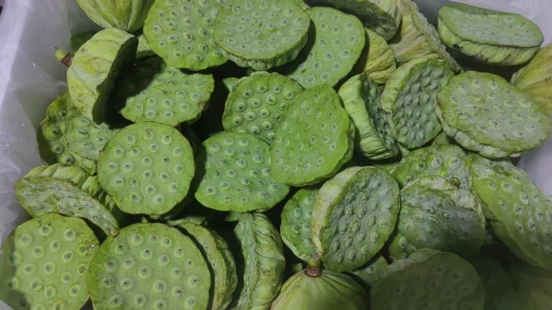 海南新鲜水果嫩莲蓬当季嫩莲蓬基地直供时令