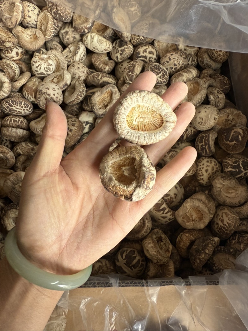 包邮无脚花菇4-5厘米大花菇2026花菇泌阳花菇干香菇