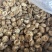 包邮无脚花菇4-5厘米大花菇2026花菇泌阳花菇干香菇