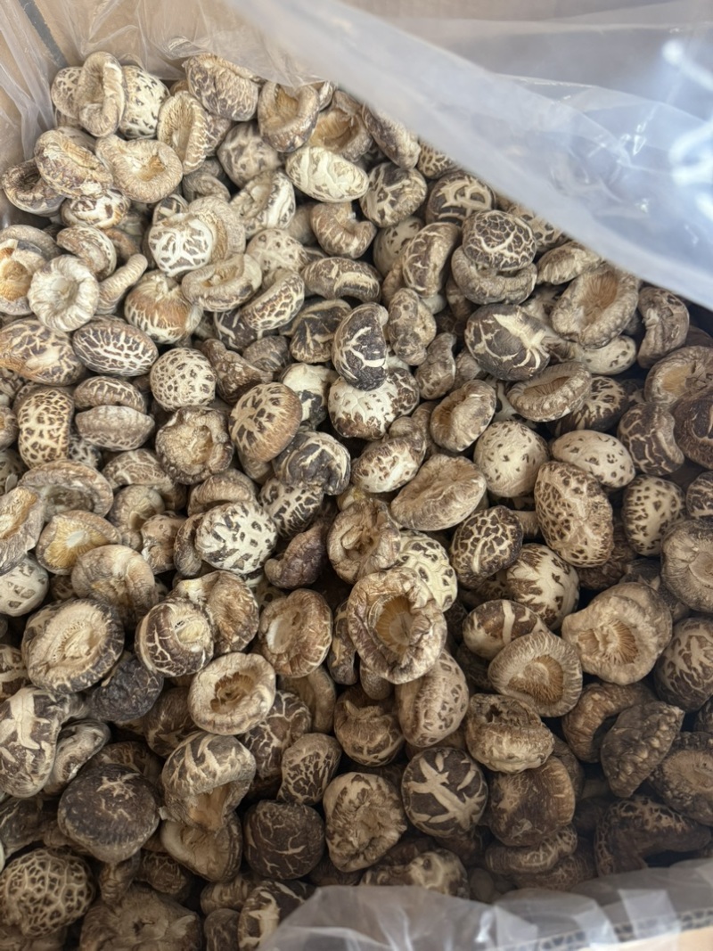 包邮无脚花菇4-5厘米大花菇2026花菇泌阳花菇干香菇