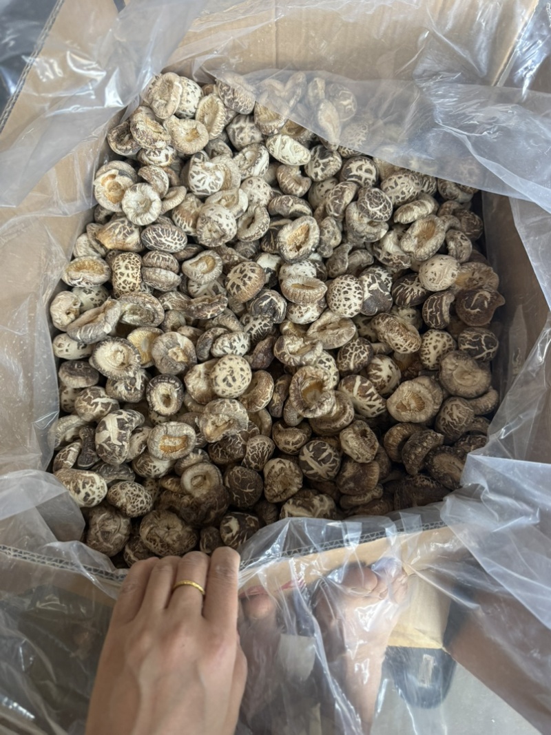 包邮无脚花菇4-5厘米大花菇2026花菇泌阳花菇干香菇