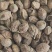 益智仁新货益智无硫水洗货批发各种香料