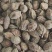 益智仁新货益智无硫水洗货批发各种香料