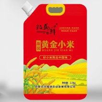黄小米厂家直销源头厂家对接经销商批发零售